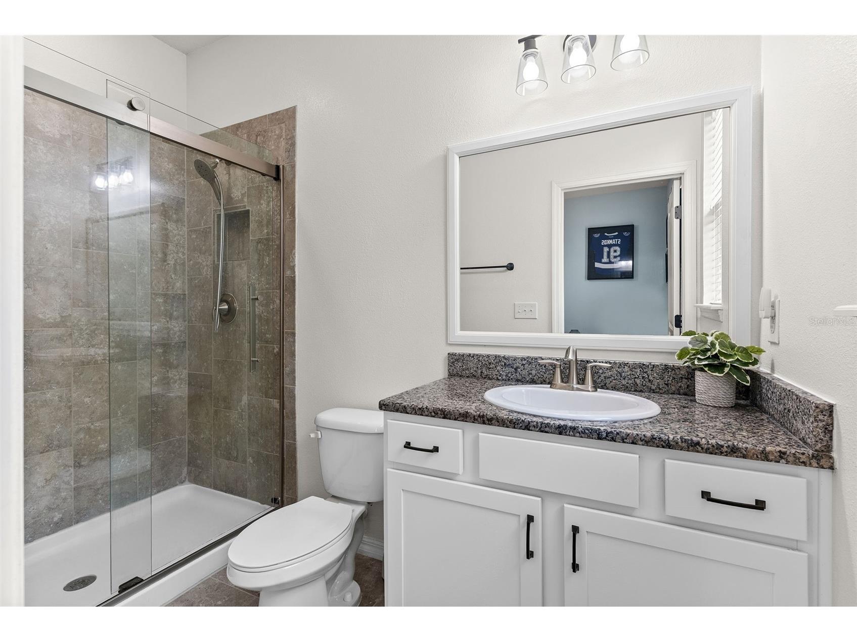 32373 Bannack Lane Wesley Chapel FL 33543 TB8518358 image37