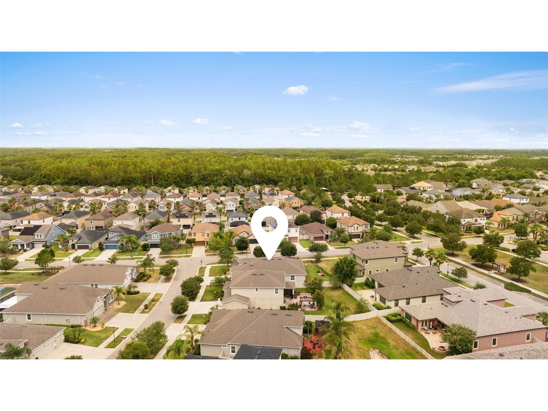 32373 Bannack Lane Wesley Chapel FL 33543 TB8518358 image48
