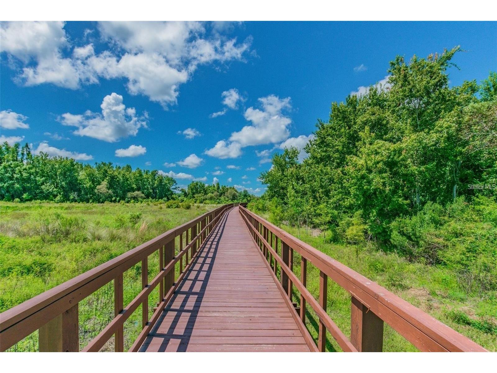 32373 Bannack Lane Wesley Chapel FL 33543 TB8518358 image58