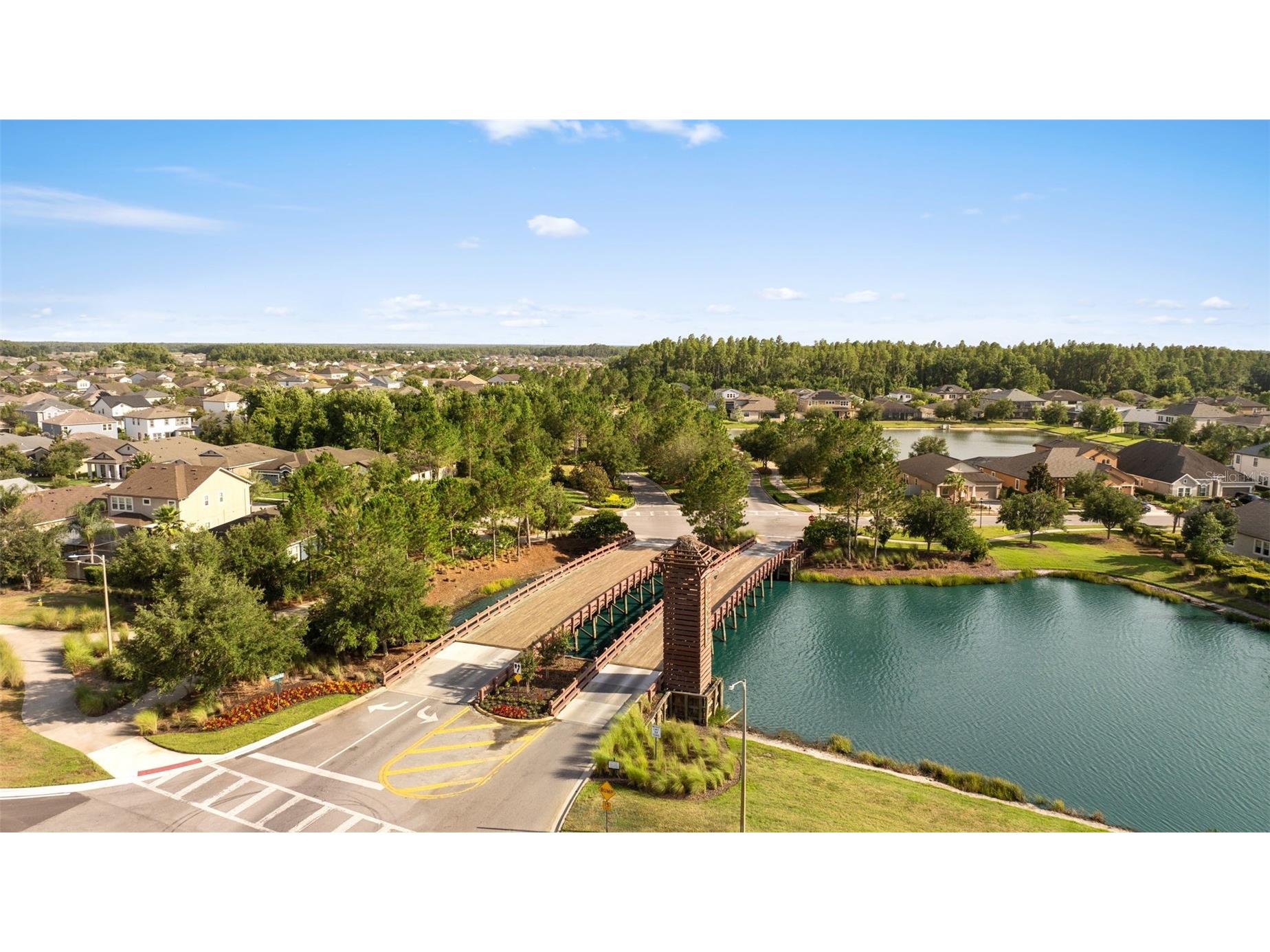 32373 Bannack Lane Wesley Chapel FL 33543 TB8518358 image66