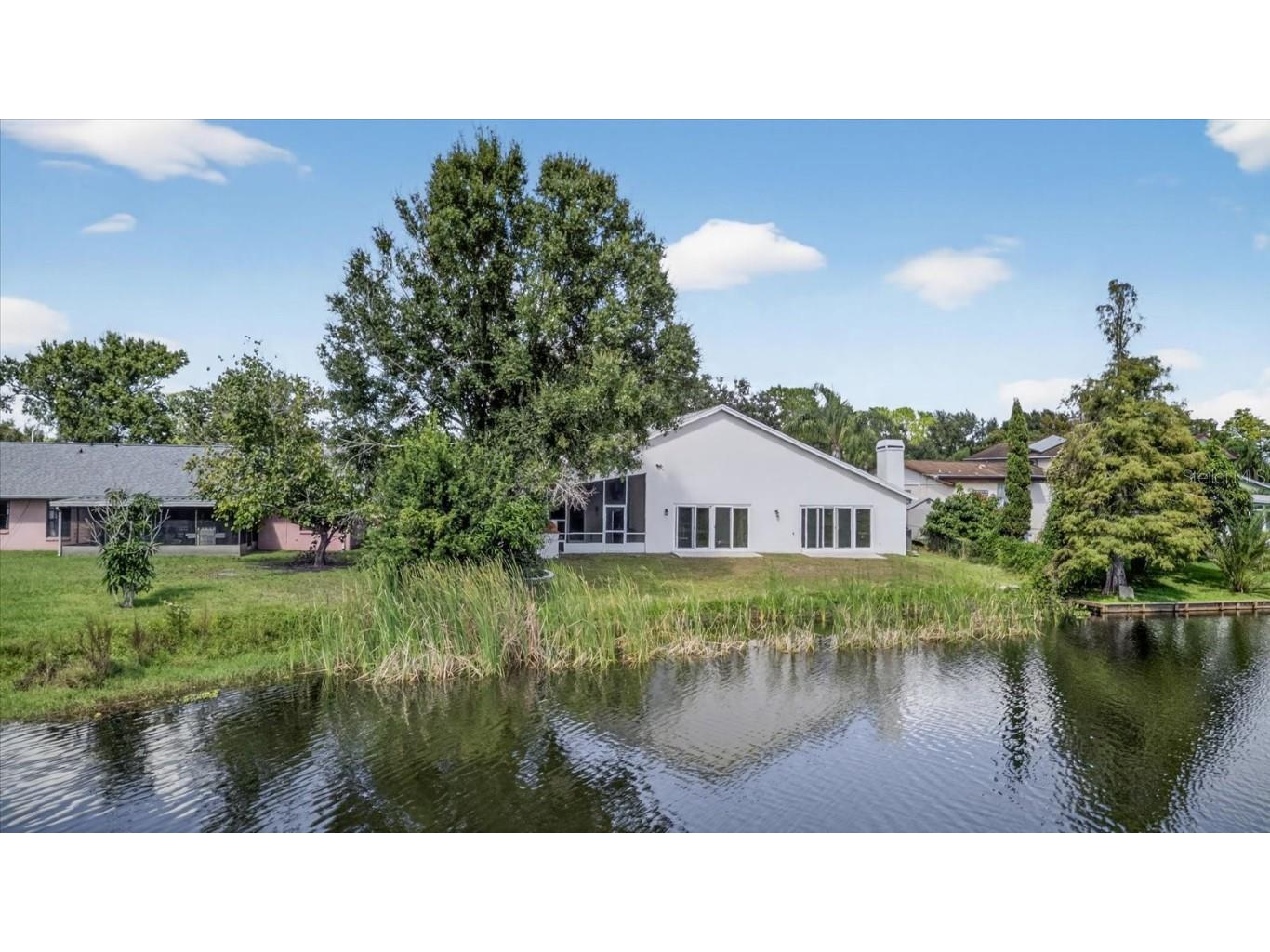 3238 Cullendale Drive Tampa FL 33618 TB8435911 image67