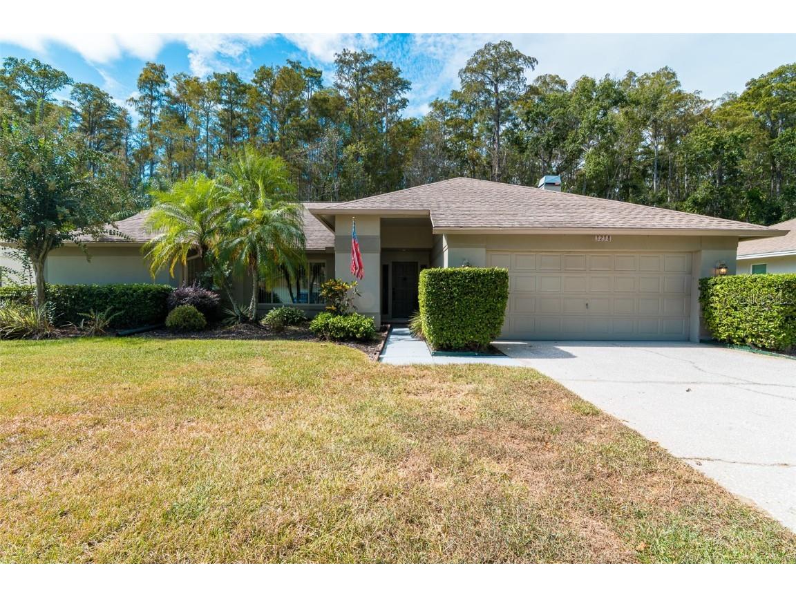 3238 Glenridge Drive Palm Harbor FL 34685 TB8438948 image1