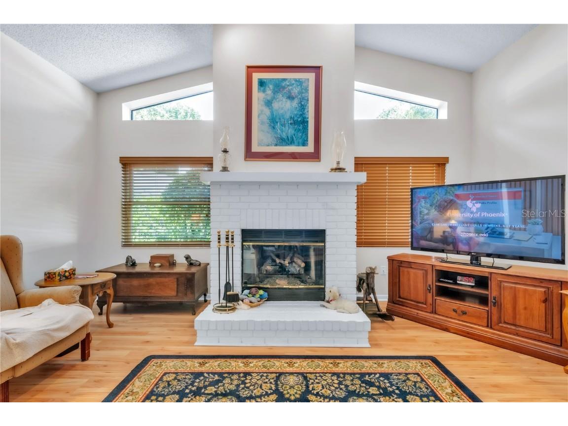 3238 Glenridge Drive Palm Harbor FL 34685 TB8438948 image13