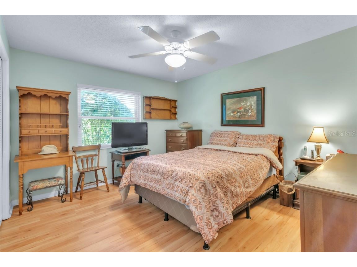 3238 Glenridge Drive Palm Harbor FL 34685 TB8438948 image21