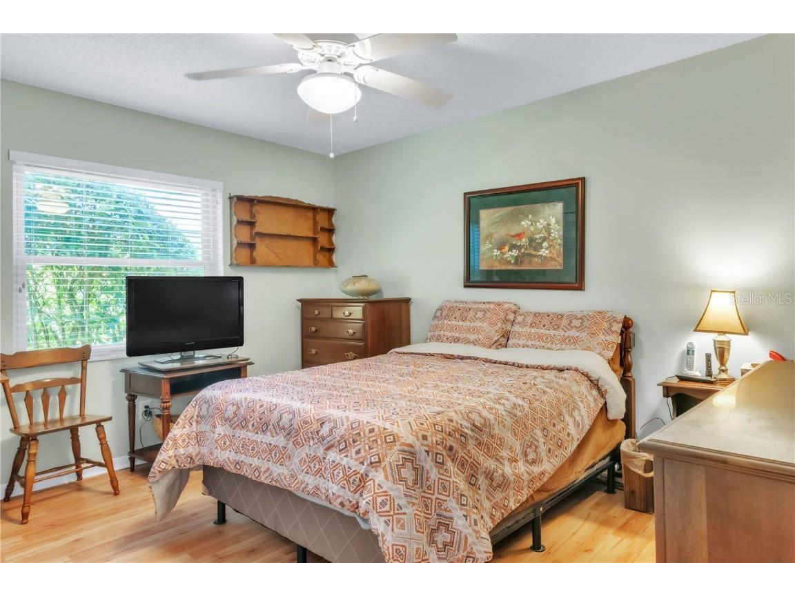 3238 Glenridge Drive Palm Harbor FL 34685 TB8438948 image22