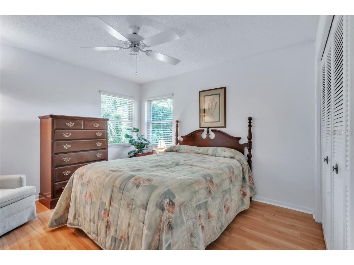 3238 Glenridge Drive Palm Harbor FL 34685 TB8438948 image25