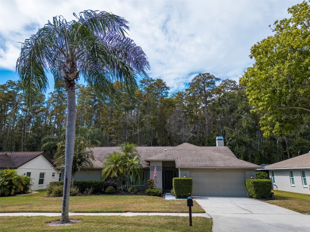 3238 Glenridge Drive Palm Harbor FL 34685 TB8438948 image3