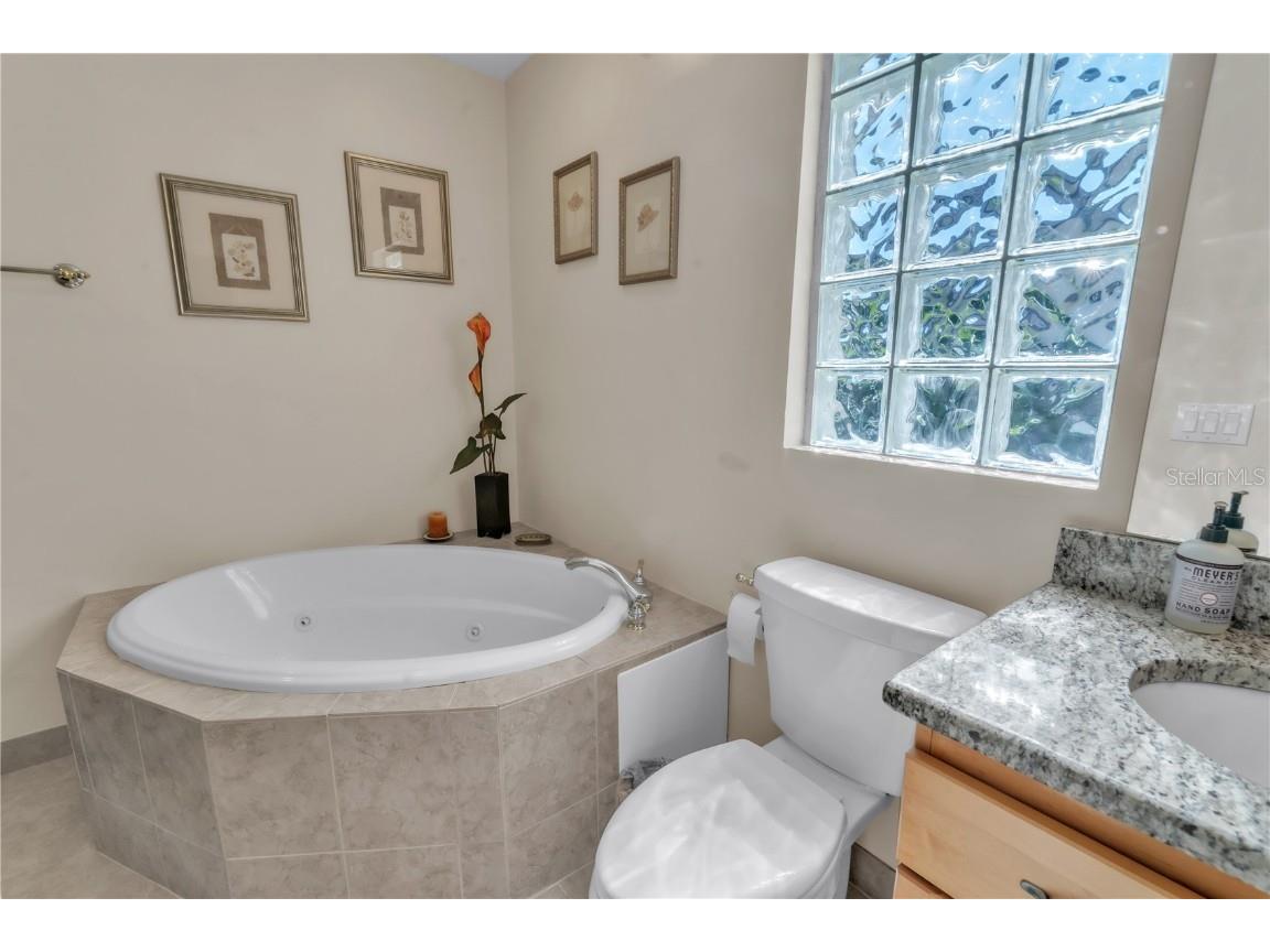 3238 Glenridge Drive Palm Harbor FL 34685 TB8438948 image30