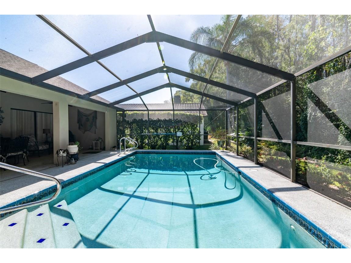 3238 Glenridge Drive Palm Harbor FL 34685 TB8438948 image36