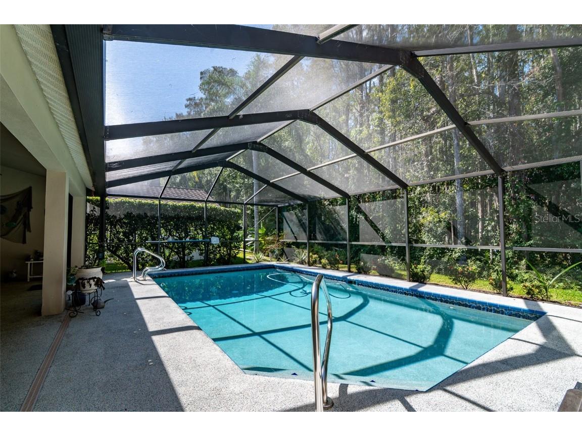 3238 Glenridge Drive Palm Harbor FL 34685 TB8438948 image38