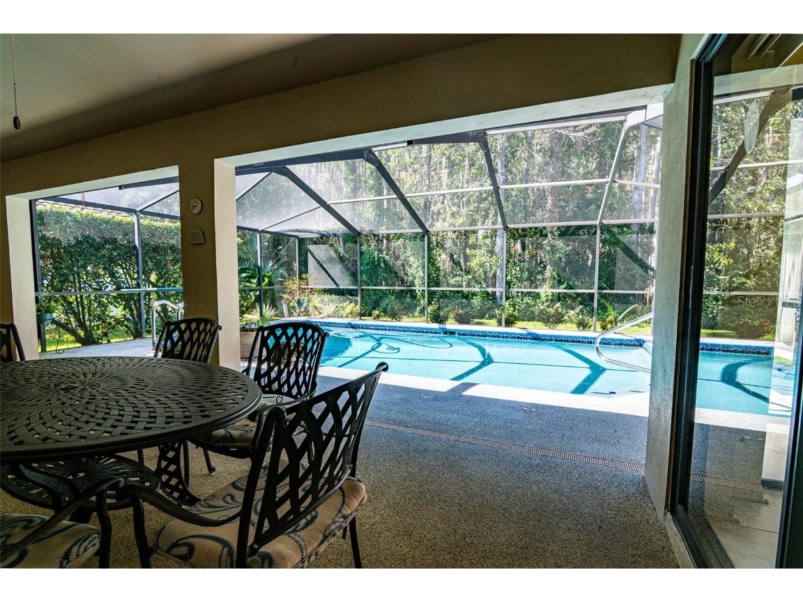 3238 Glenridge Drive Palm Harbor FL 34685 TB8438948 image39