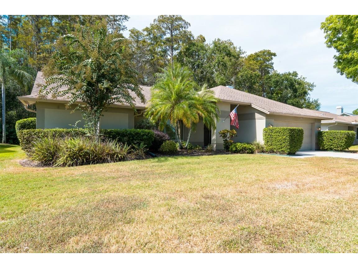 3238 Glenridge Drive Palm Harbor FL 34685 TB8438948 image4