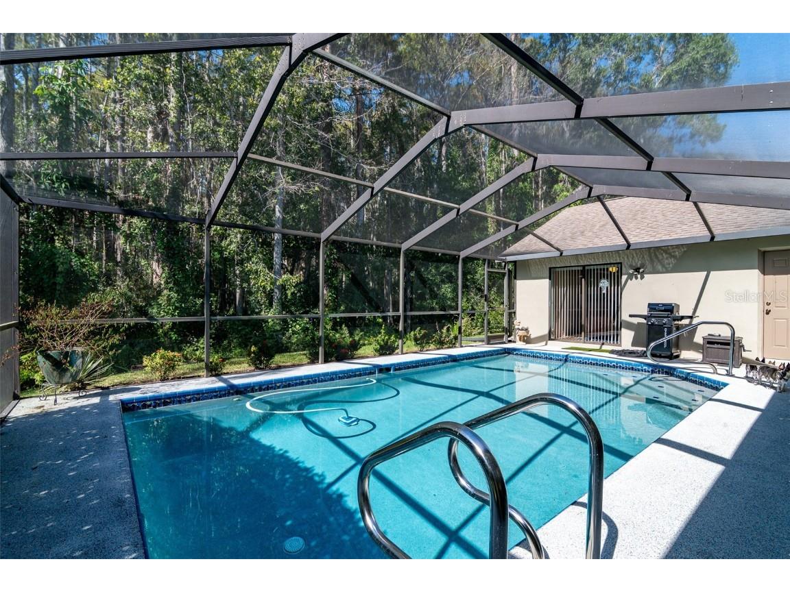 3238 Glenridge Drive Palm Harbor FL 34685 TB8438948 image40