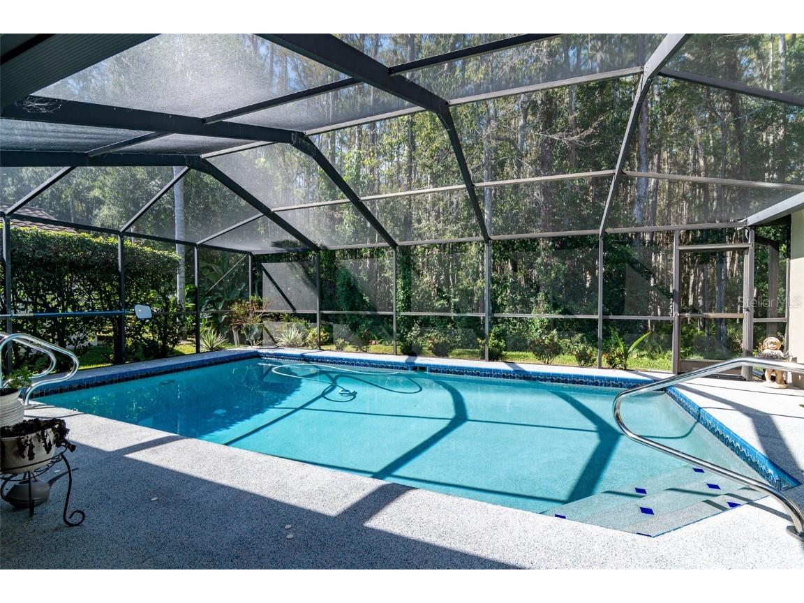 3238 Glenridge Drive Palm Harbor FL 34685 TB8438948 image41