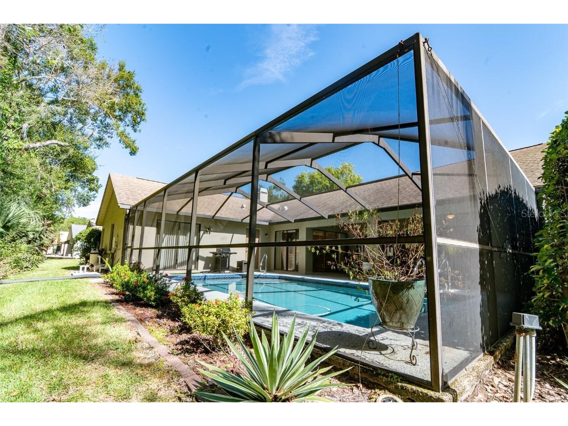 3238 Glenridge Drive Palm Harbor FL 34685 TB8438948 image43