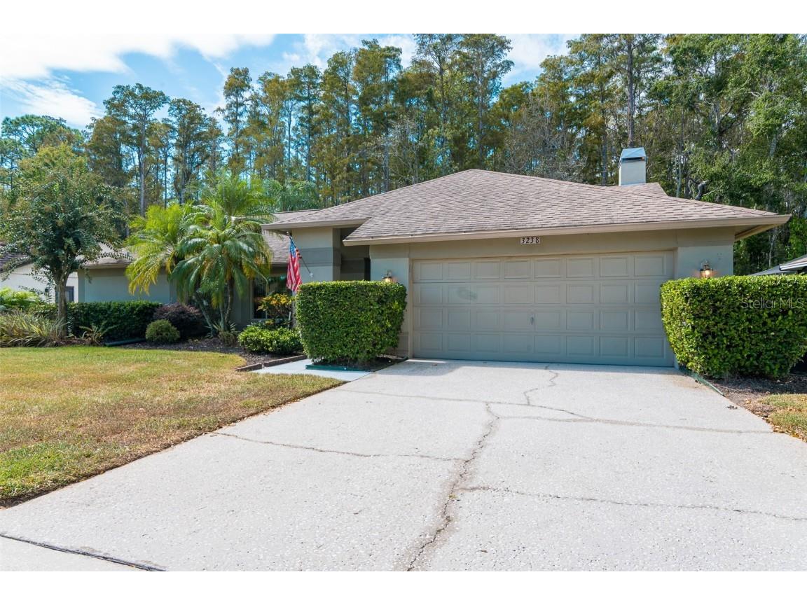 3238 Glenridge Drive Palm Harbor FL 34685 TB8438948 image45
