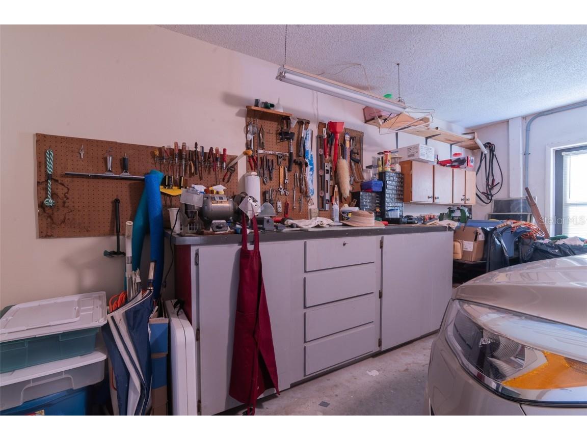 3238 Glenridge Drive Palm Harbor FL 34685 TB8438948 image47