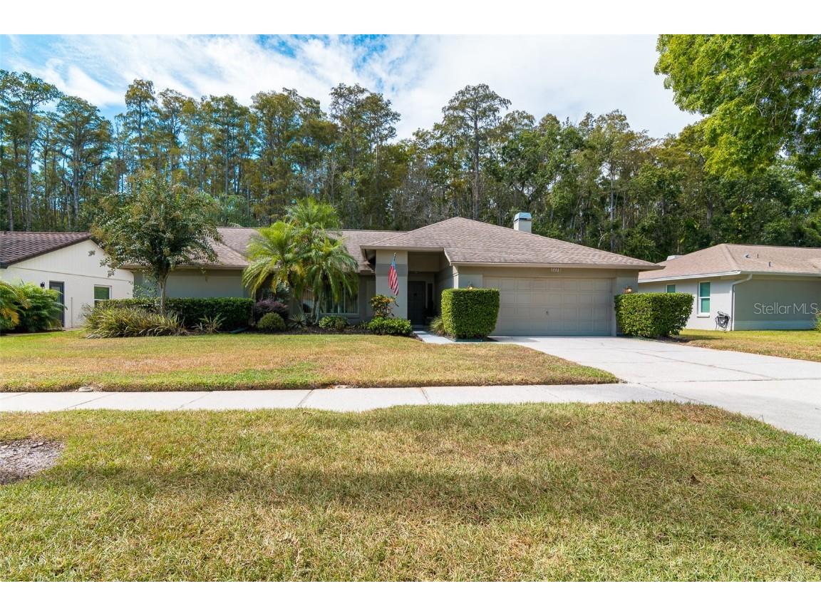 3238 Glenridge Drive Palm Harbor FL 34685 TB8438948 image48