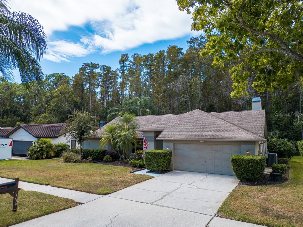 3238 Glenridge Drive Palm Harbor FL 34685 TB8438948 image49