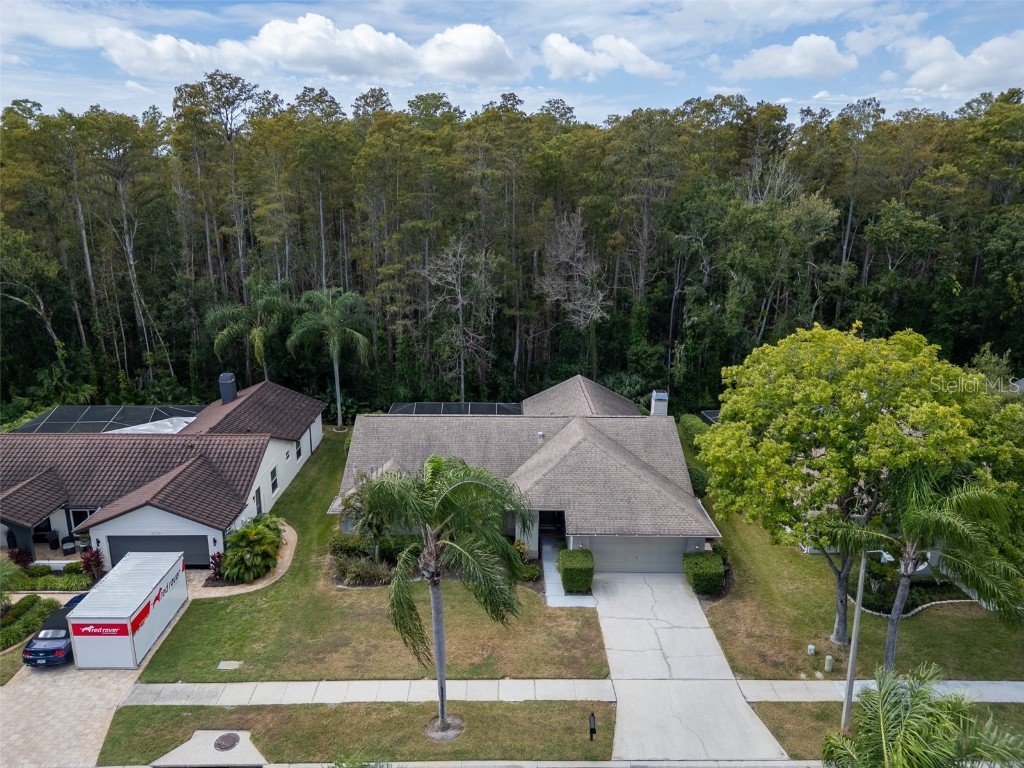 3238 Glenridge Drive Palm Harbor FL 34685 TB8438948 image5