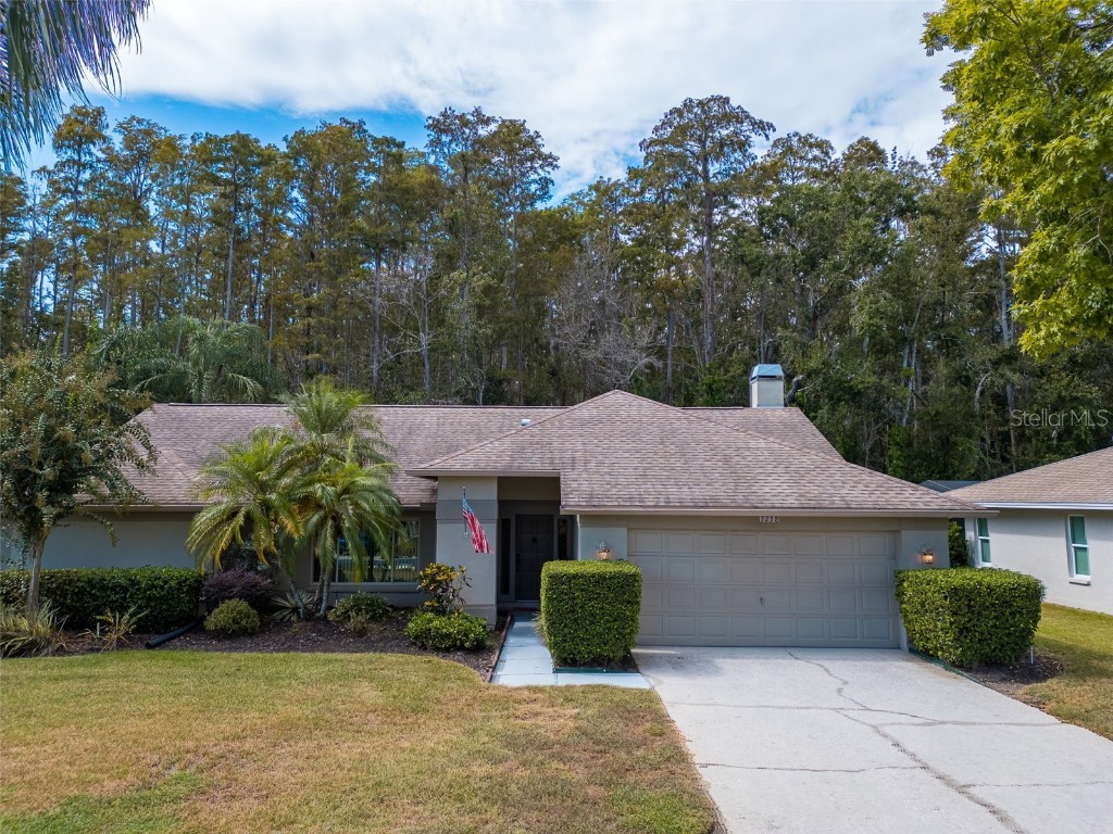 3238 Glenridge Drive Palm Harbor FL 34685 TB8438948 image50