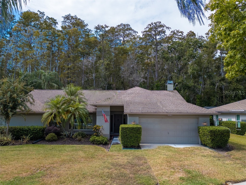 3238 Glenridge Drive Palm Harbor FL 34685 TB8438948 image51