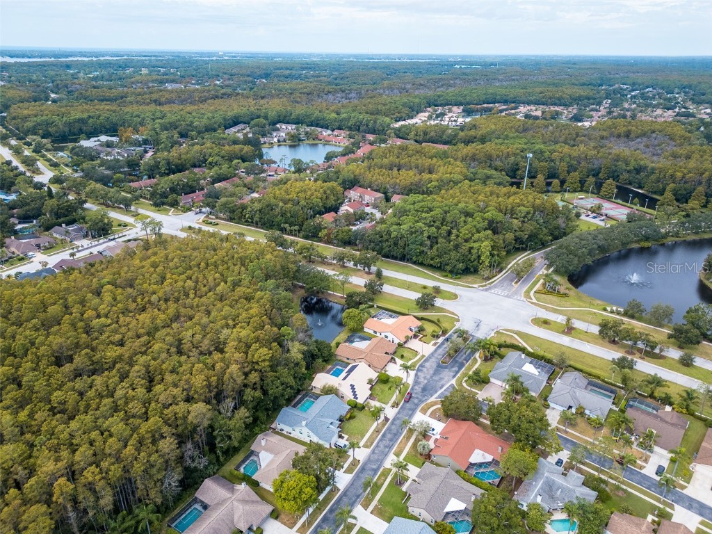 3238 Glenridge Drive Palm Harbor FL 34685 TB8438948 image54