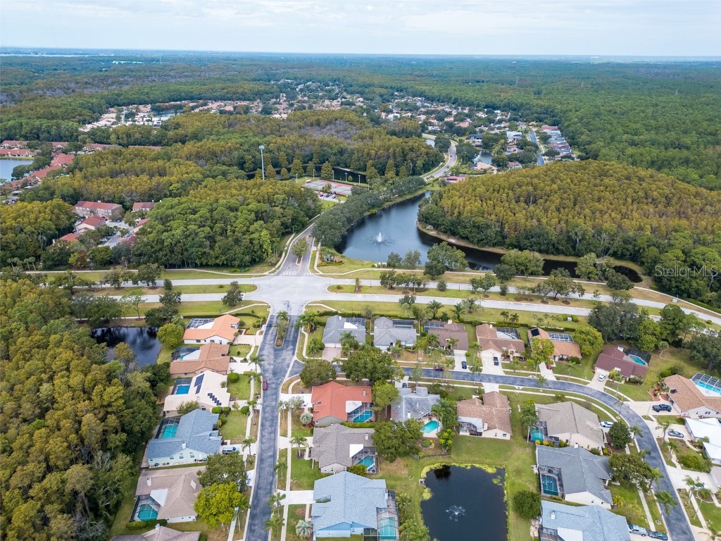 3238 Glenridge Drive Palm Harbor FL 34685 TB8438948 image55