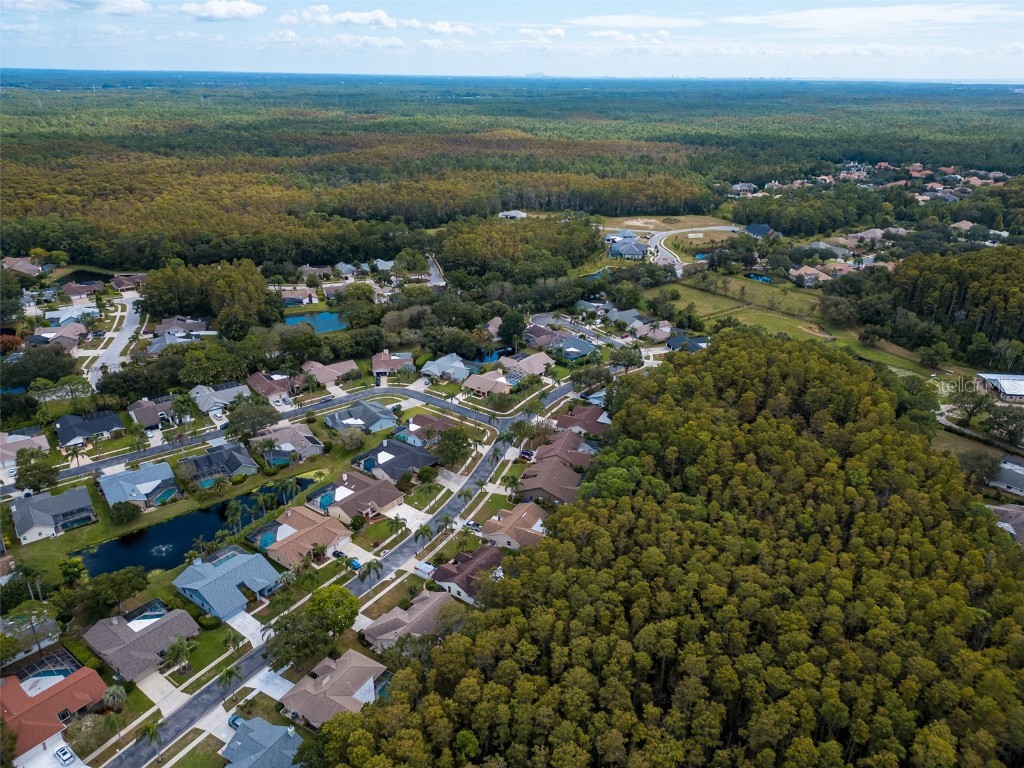 3238 Glenridge Drive Palm Harbor FL 34685 TB8438948 image56