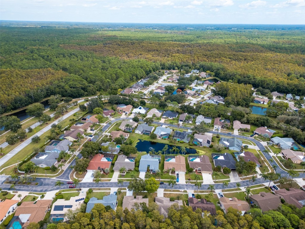 3238 Glenridge Drive Palm Harbor FL 34685 TB8438948 image57