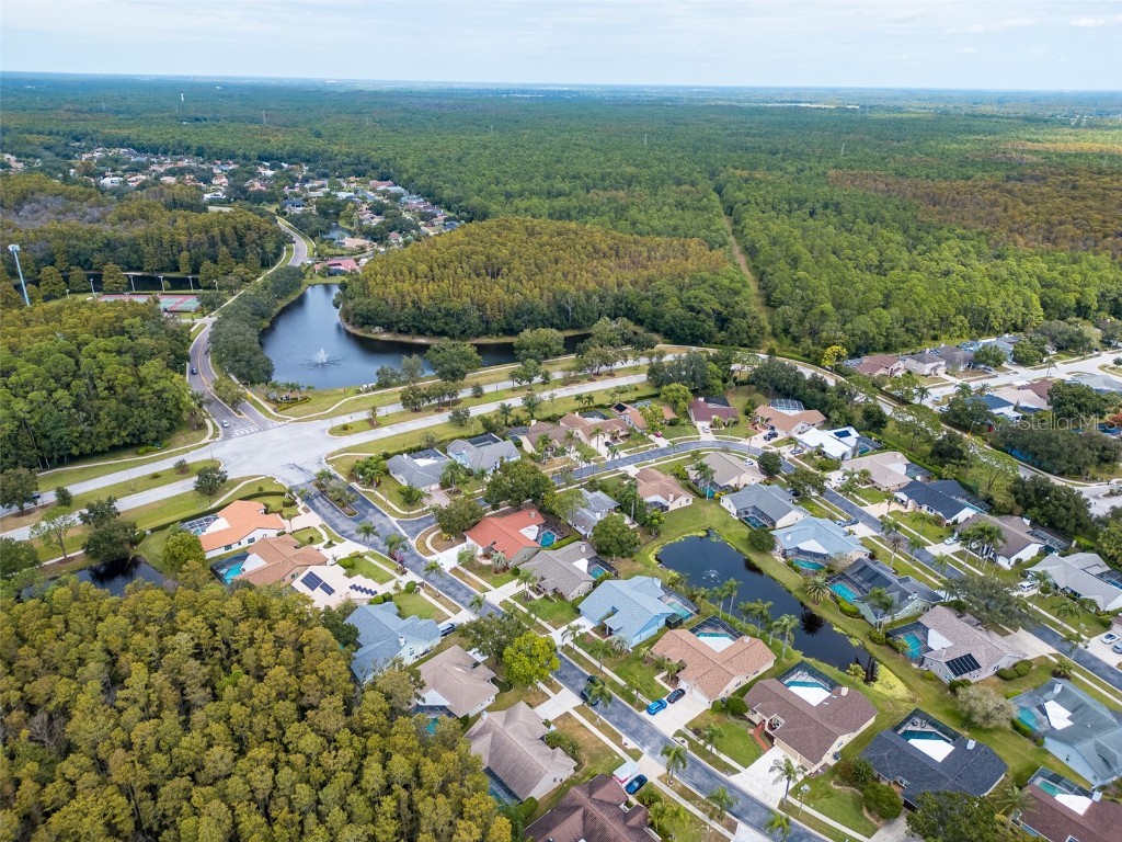 3238 Glenridge Drive Palm Harbor FL 34685 TB8438948 image58