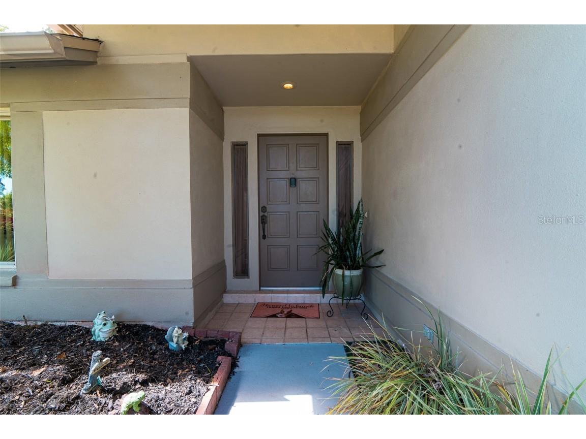 3238 Glenridge Drive Palm Harbor FL 34685 TB8438948 image6