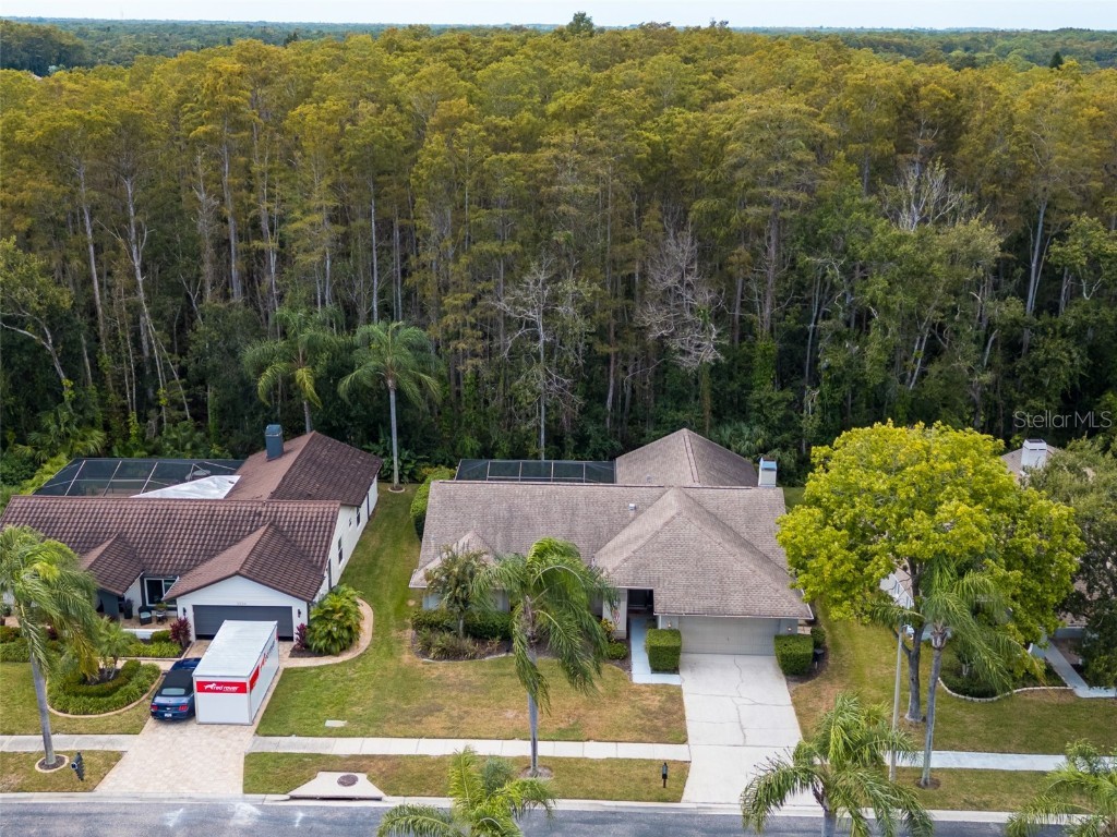 3238 Glenridge Drive Palm Harbor FL 34685 TB8438948 image60