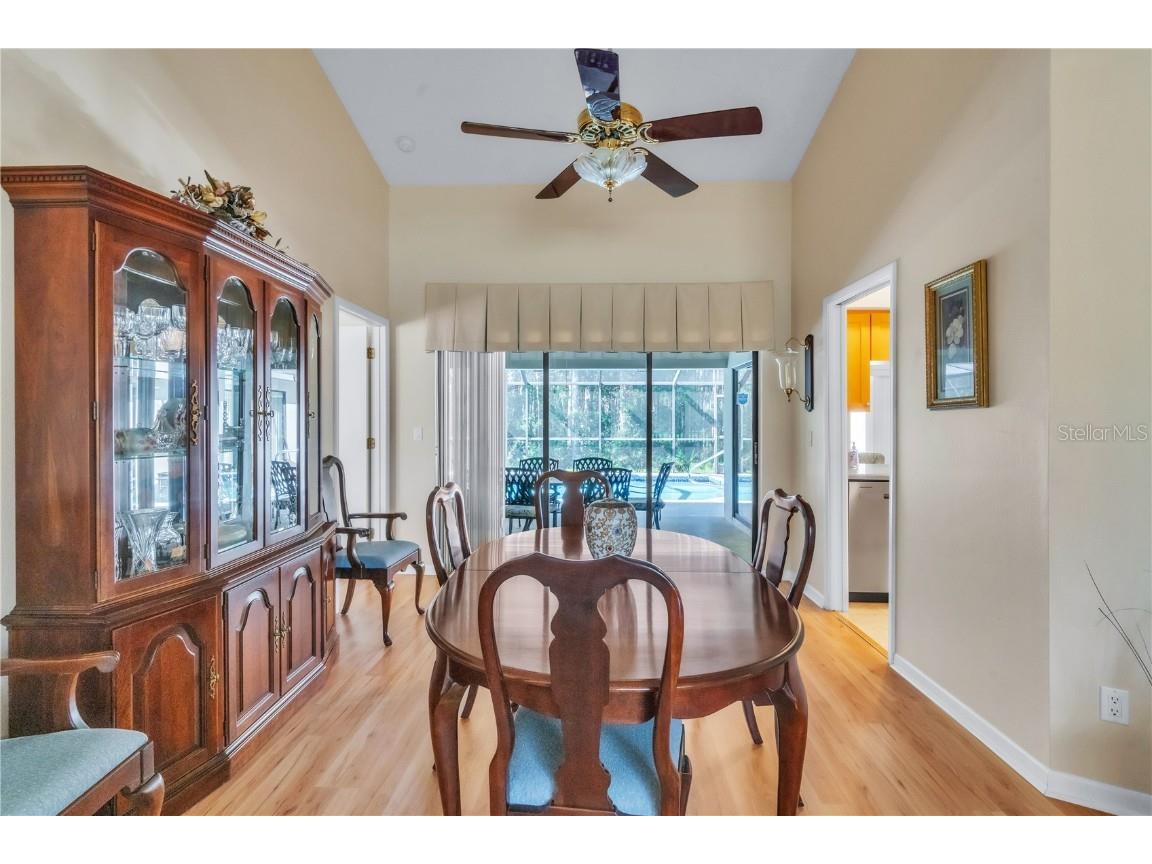 3238 Glenridge Drive Palm Harbor FL 34685 TB8438948 image8