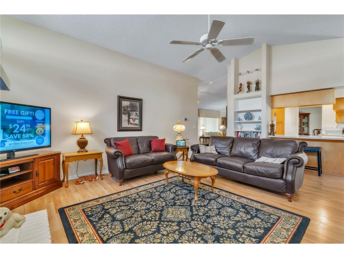 3238 Glenridge Drive Palm Harbor FL 34685 TB8438948 image9