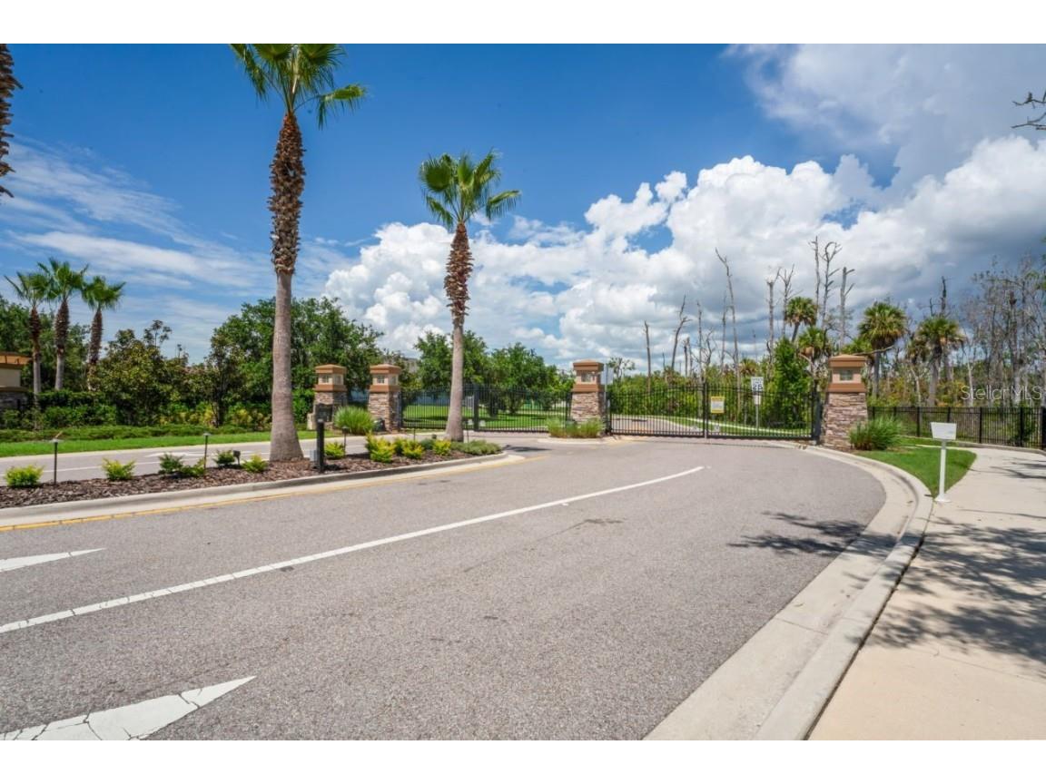 3238 Mela Court Holiday FL 34691 TB8339369 image3