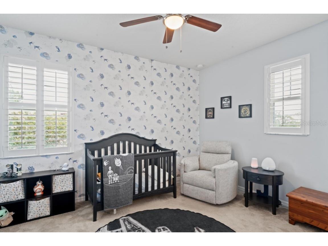 3238 Mela Court Holiday FL 34691 TB8339369 image42