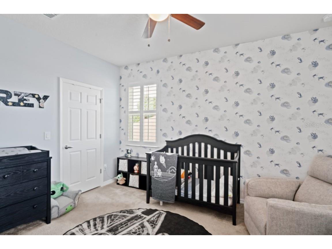 3238 Mela Court Holiday FL 34691 TB8339369 image43