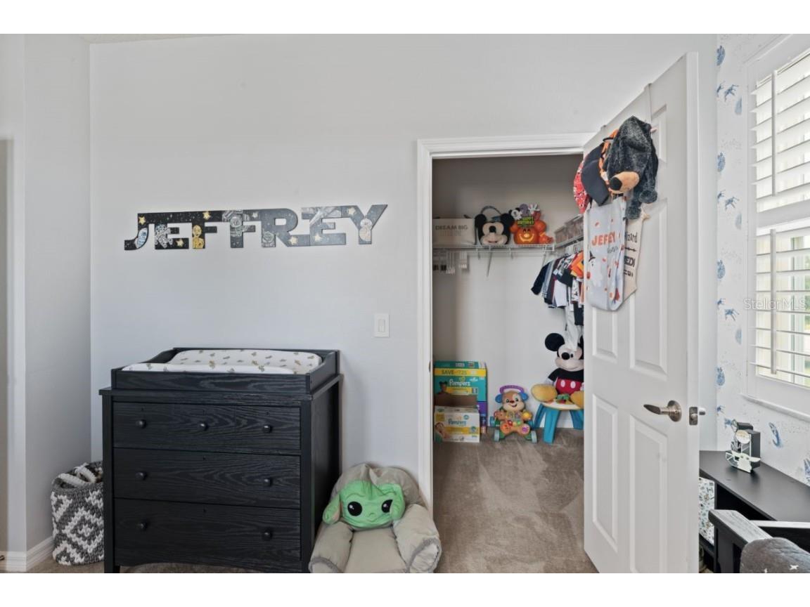 3238 Mela Court Holiday FL 34691 TB8339369 image44