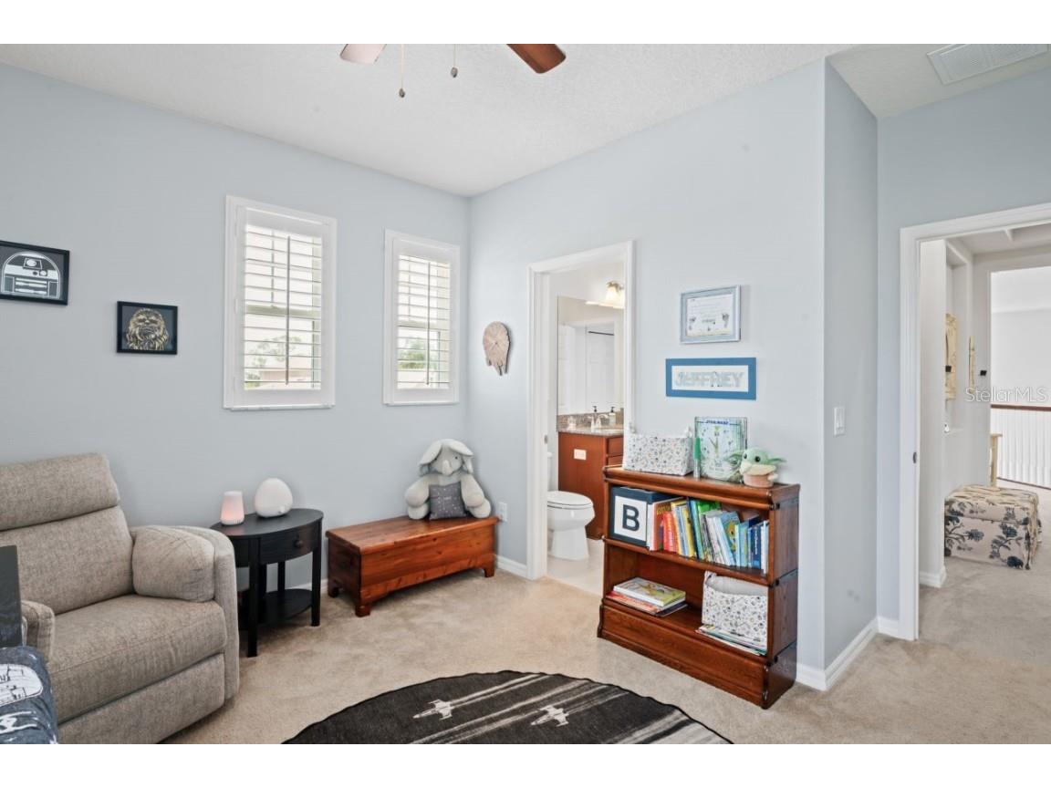 3238 Mela Court Holiday FL 34691 TB8339369 image45