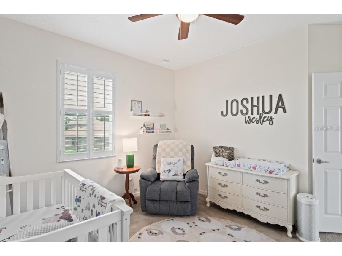 3238 Mela Court Holiday FL 34691 TB8339369 image53