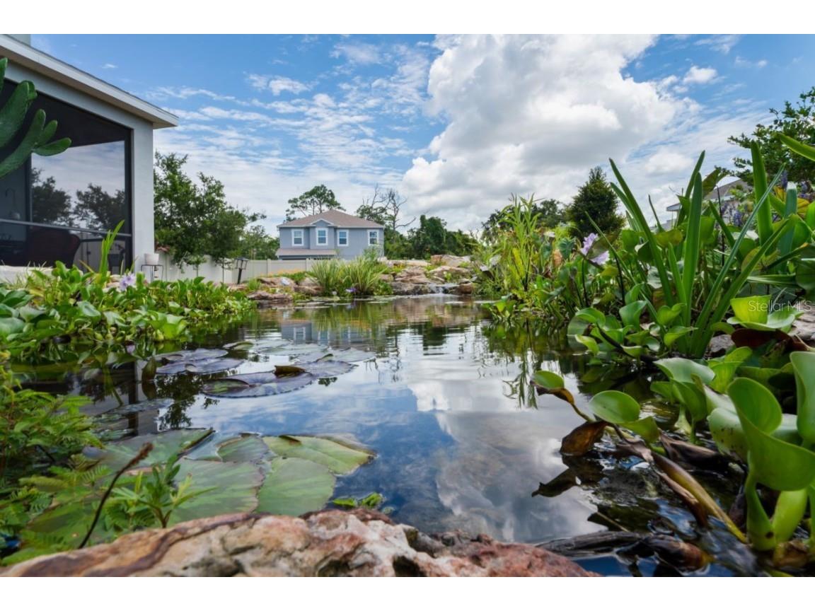 3238 Mela Court Holiday FL 34691 TB8339369 image58