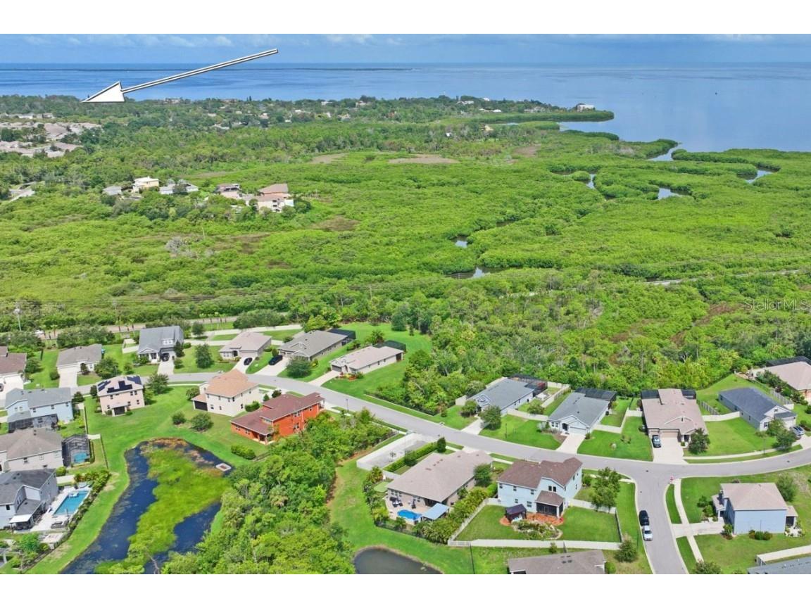 3238 Mela Court Holiday FL 34691 TB8339369 image72