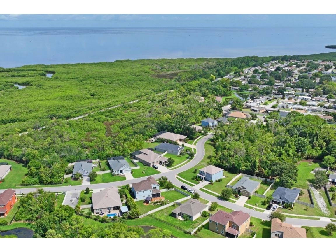 3238 Mela Court Holiday FL 34691 TB8339369 image74