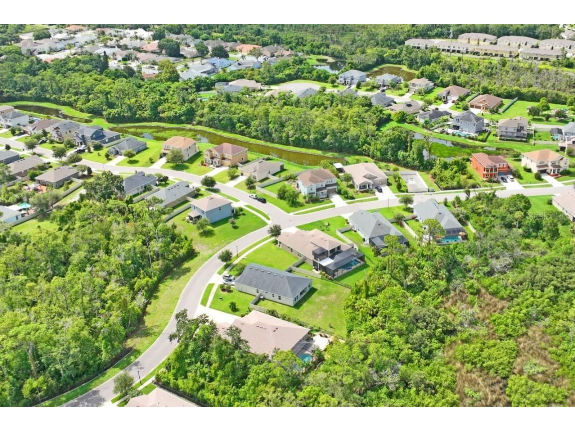 3238 Mela Court Holiday FL 34691 TB8339369 image77