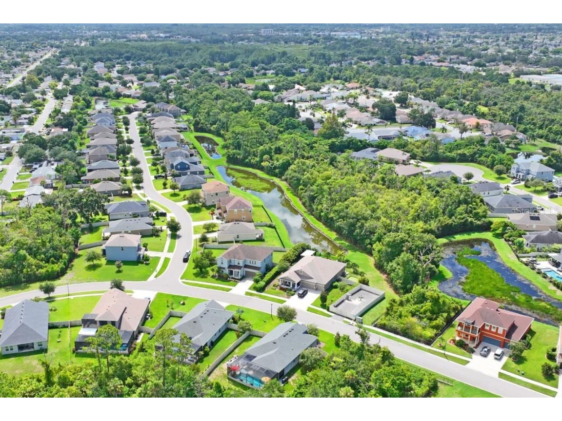 3238 Mela Court Holiday FL 34691 TB8339369 image79