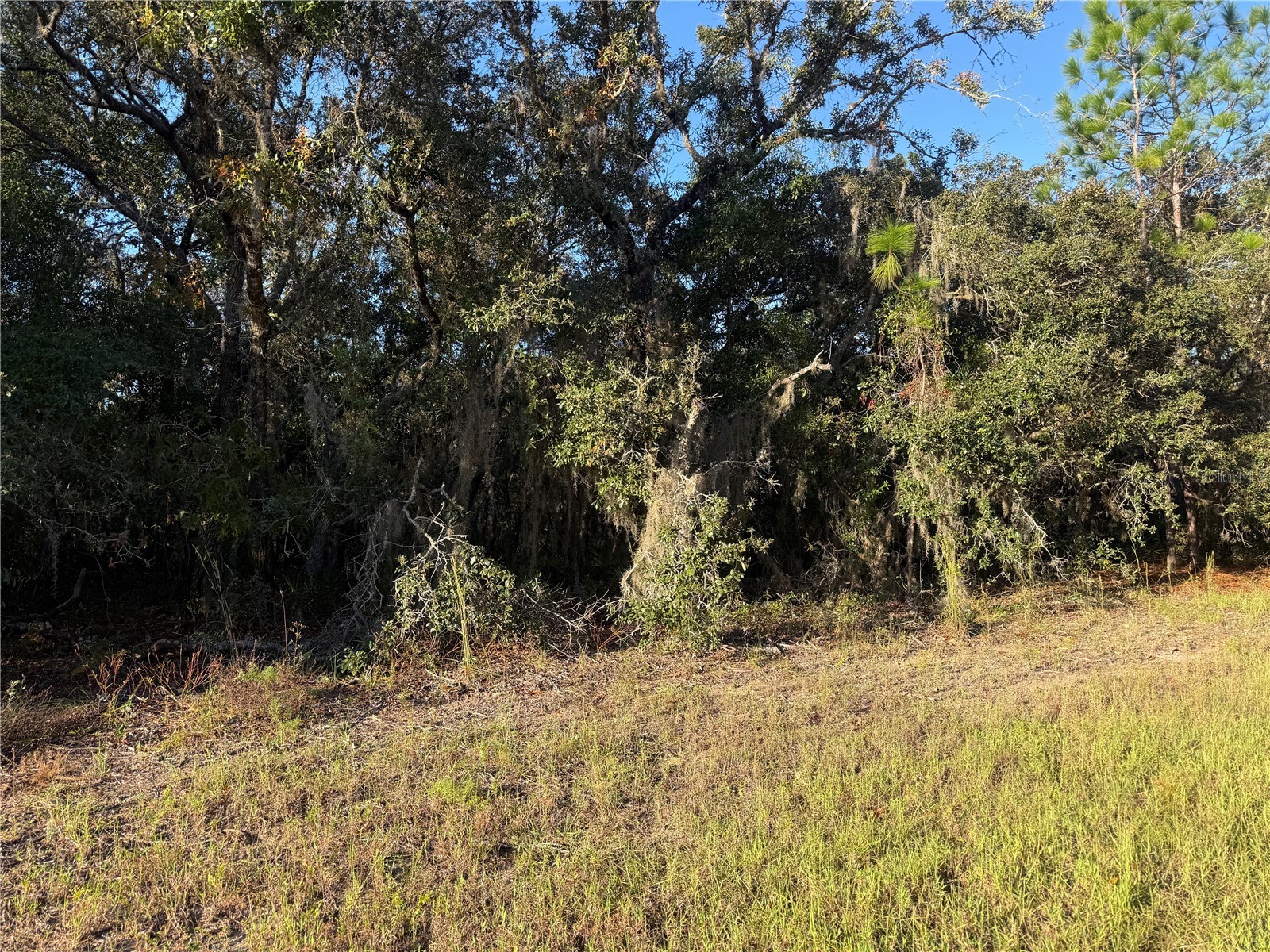 3238 N Sheriff Drive Beverly Hills FL 34465 G5104299 image1