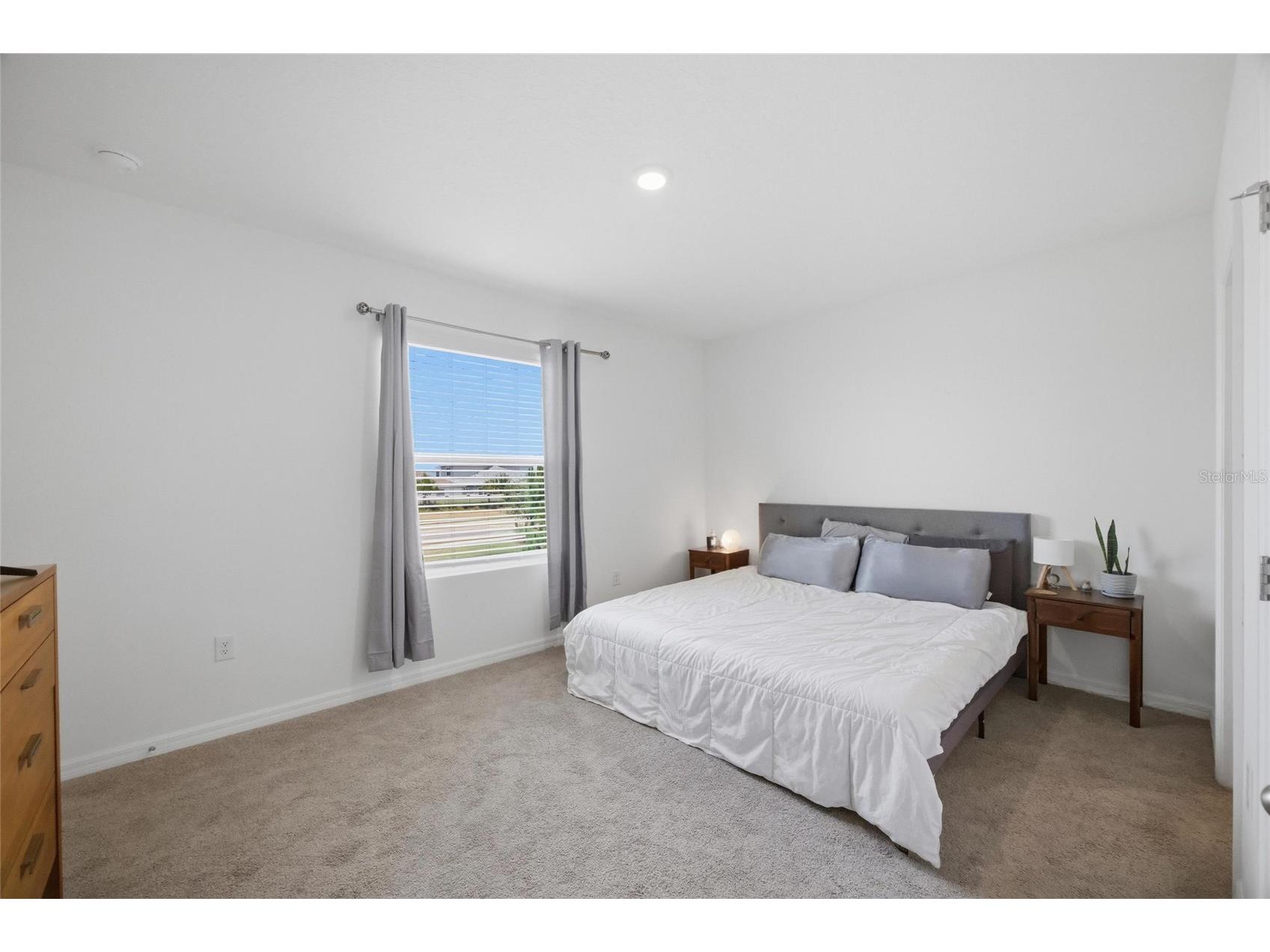 32389 Turtle Grace Loop Wesley Chapel FL 33545 TB8505133 image13