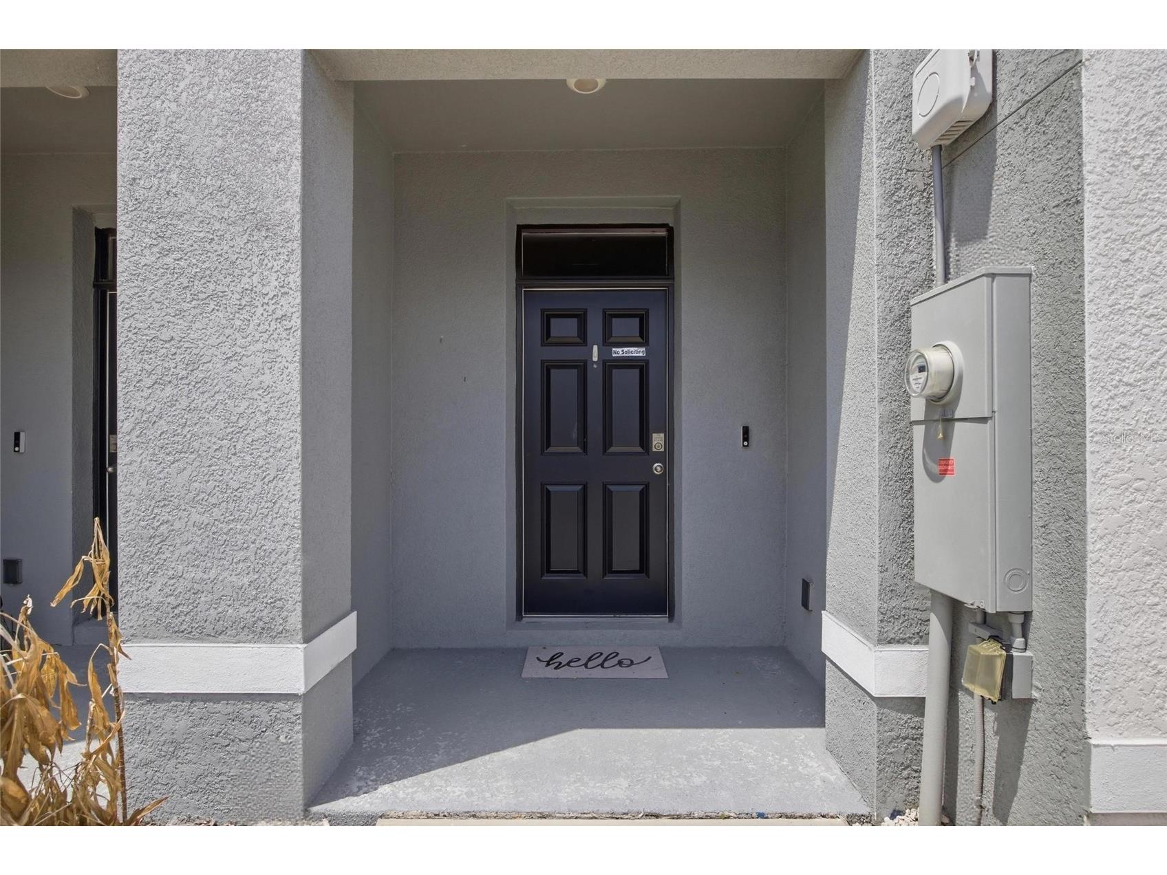 32389 Turtle Grace Loop Wesley Chapel FL 33545 TB8505133 image4