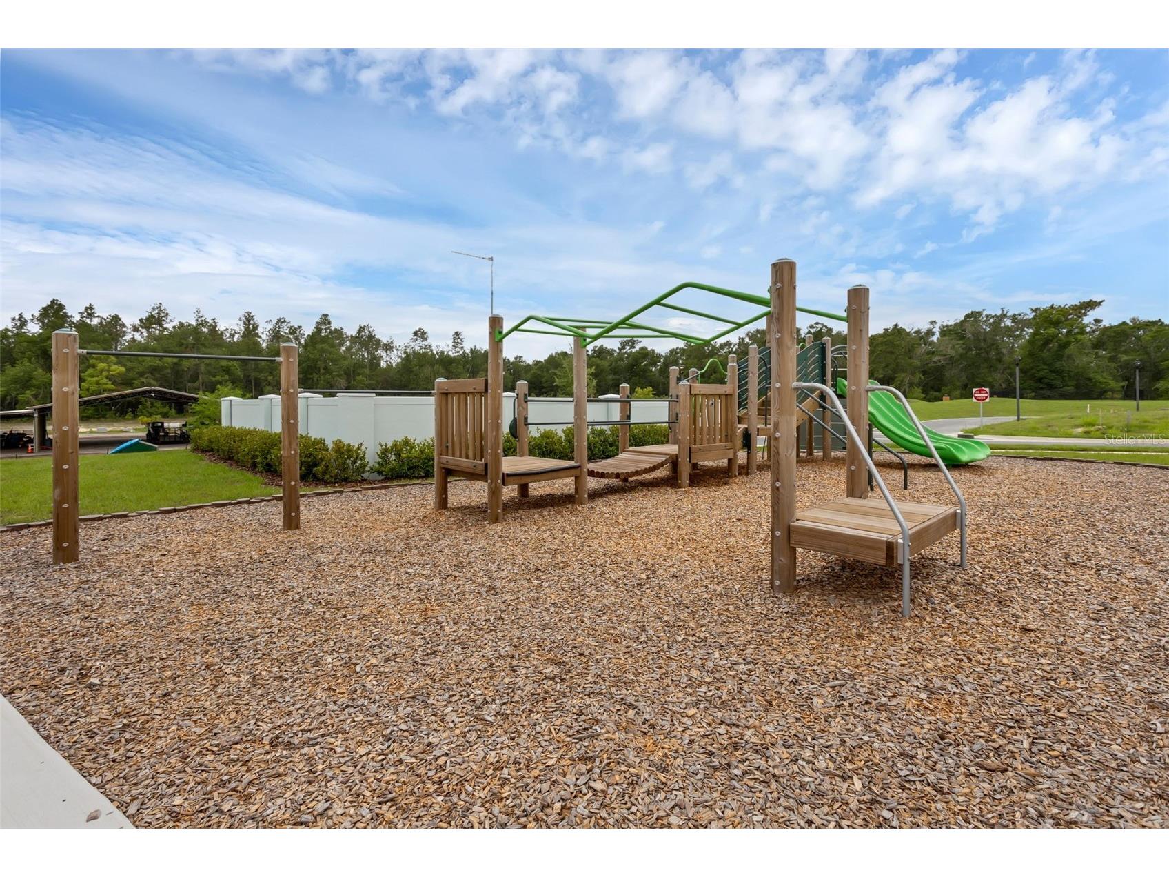 3239 Gardenia Reserve St Apopka FL 32712 O6412984 image30